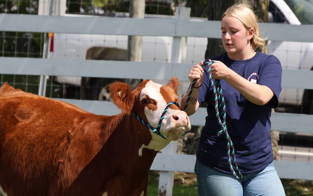 Goshen Fair’s entertainment is non-stop