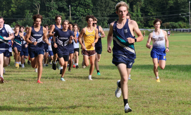 ‘Cats runners hold their own in BL tilt