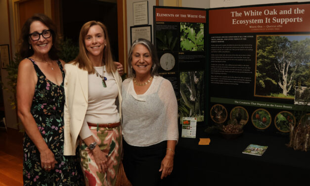 Garden club party marks show’s opening