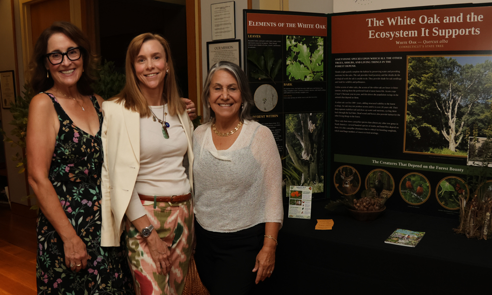 Garden club party marks show’s opening