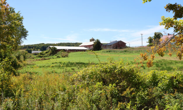 Warren Land Trust hikes new farm preserve