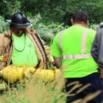 Vehicle veers off road, strikes hydrant