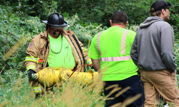Vehicle veers off road, strikes hydrant
