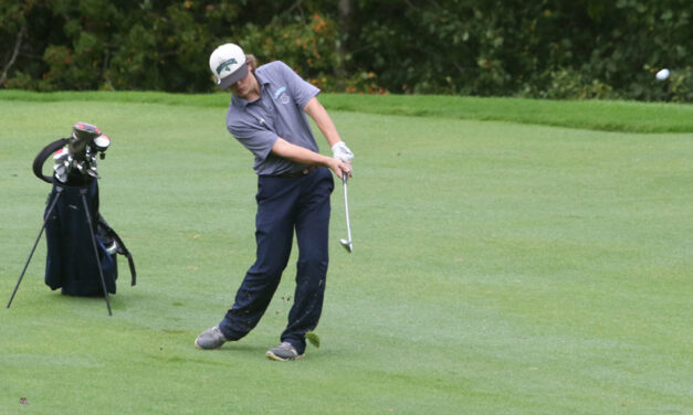 Lakeview golfers fall short in showdown