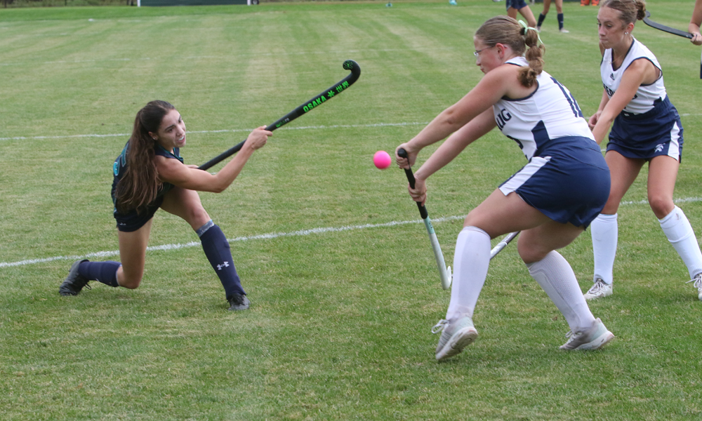 Second-half rally fuels Bobcats victory