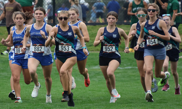 Lakeview runners 6th behind Markavich