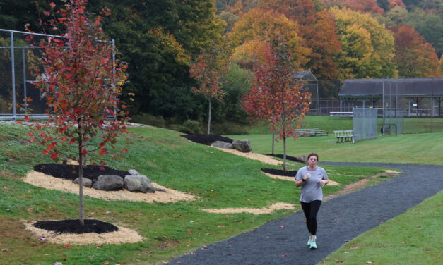 Improvements reshaping Community Field