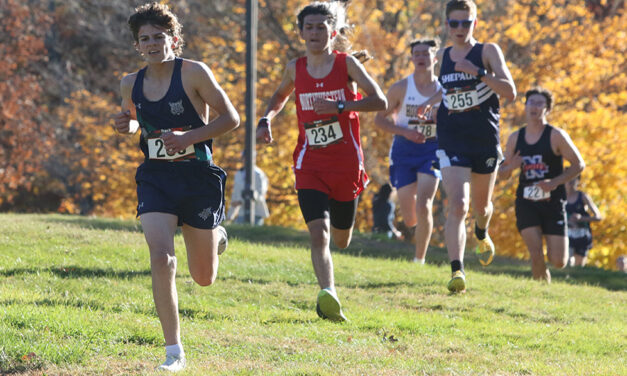 Lakeview boys run to second in BL race