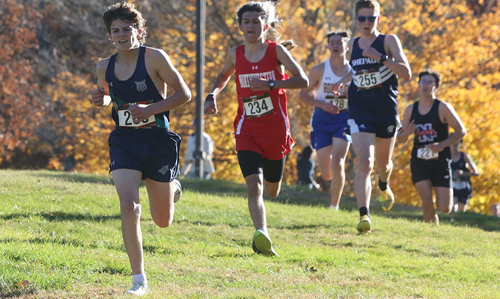 Lakeview boys run to second in BL race
