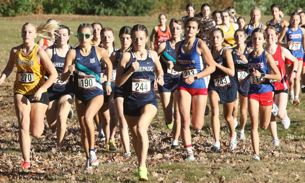 Lakeview girls third in BL championship