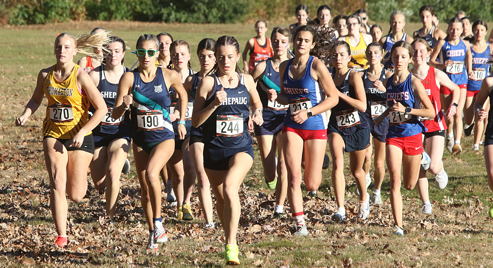 Lakeview girls third in BL championship