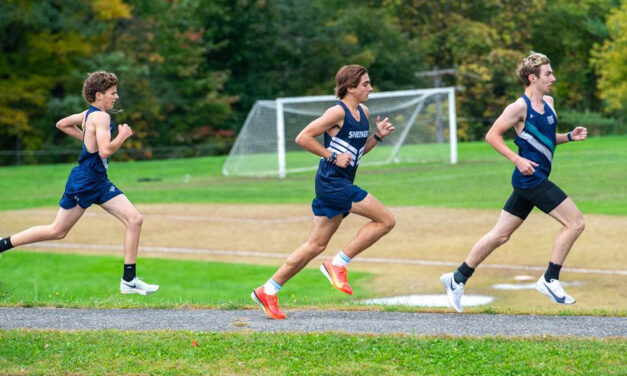 Lakeview harriers capture two BL victories